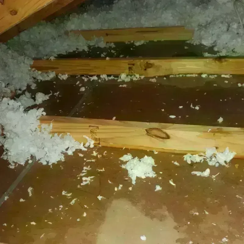 Attic Water Damage in Winthrop, MA